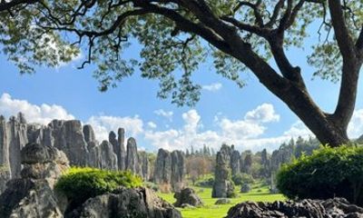 Private Stone Forest Day Trip from Kunming with Hotel Pickup