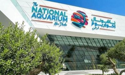 The National Aquarium Abu Dhabi Admission Ticket