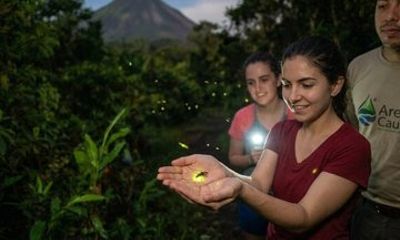 Arenal Cautiva Firefly Experience in Costa Rica