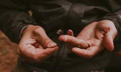 Guided Fishing Trips on Oak Creek in Sedona