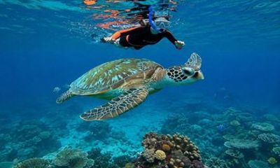 Bali Blue Lagoon Snorkeling and Tegenungan Waterfall