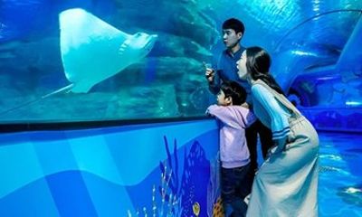 Busan SEA LIFE Aquarium Admission Ticket