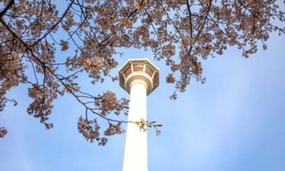 Busan Tower Admission Ticket