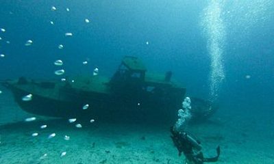 Discover Scuba Diving In Aruba