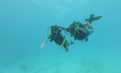 Discover Scuba Diving In Aruba