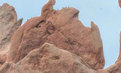 Petrified Giants Discovery Tour in Colorado Springs