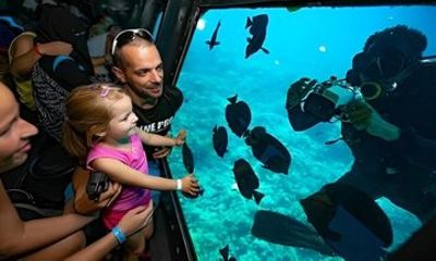 Semi Submarine Cruise and Snorkeling Adventure in Hurghada