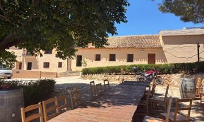 La Vendimia Bobal Harvest Experience in Requena