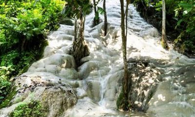 Chiang Mai Bua Thong Sticky Waterfalls Adventure
