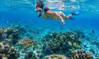 Sharing Dimaniyat Islands Half Day Snorkeling from Al Mouj Marina
