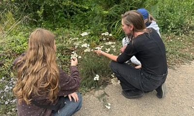 Edible and Medicinal Plant Tour of San Francisco