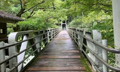 Tokyo to Okutama Art Nature and Sake Brewery Walking Tour