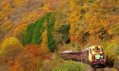 Autumn Leaves Tour in Gunma on Watarase Gorge Railway