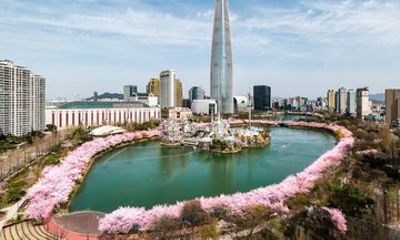 Seoul Sky Lotte World Tower Admission Ticket
