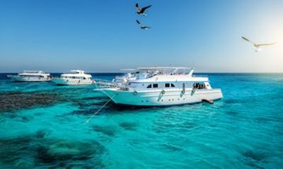 Red Sea Boat Escape: Private Shore Tour from Safaga Port