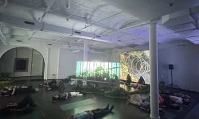 Digital Forest An Immersive Meditation Experience