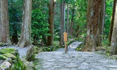 4 Days Temple Stay and Kumano Kodo Tour