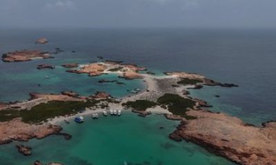 Dimaniyat Islands Turtle and Marine Life Snorkeling Adventure