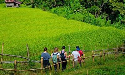 1 Day Jungle Trek in Chiang Mai Hill Tribe and Bamboo Rafting