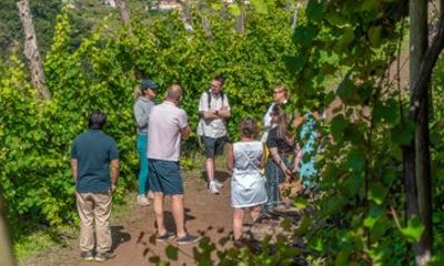 Madeira Off Road Wine Safari