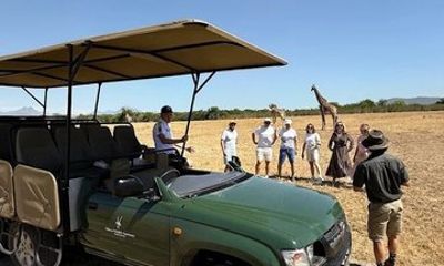 Private Safari Game Drive with Table Mountain Experience