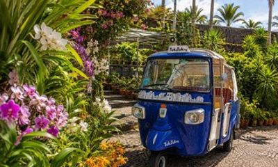 Funchal Old Town Pinaculo and Orchid Garden Tuk Tuk PrivateTour