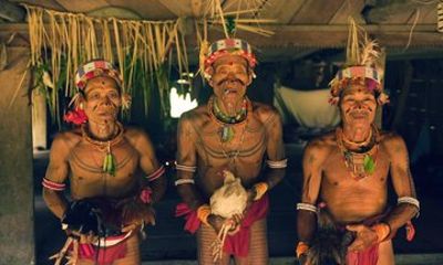 3 Days Mentawai Cultural Experience and Indigenous Village
