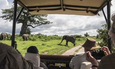 2 Days Amboseli National Park Safari