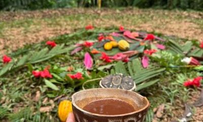 Private Experience of Cocoa Forest Bath Ceremony Therapy