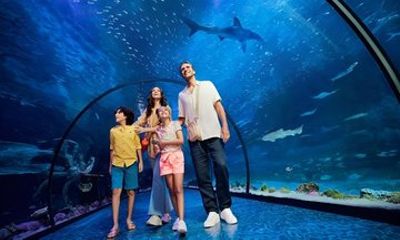 National Aquarium Abu Dhabi Admission Ticket