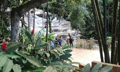 Dunn River Falls Adventure Caribbean Tour