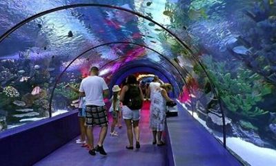 Antalya Aquarium and Face 2 Face Wax Museum Combo Ticket
