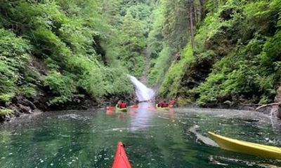 Waterfall and Rainforest Tour