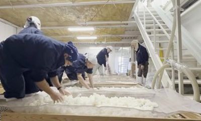 Luxury Nara Sake Brewery and Michelin Tour