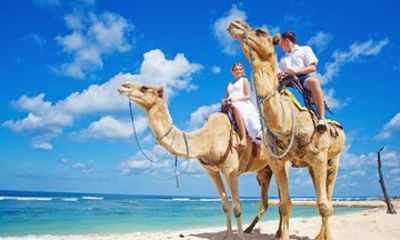 Tangier Essentials Uncovered Private Shore Tour 6 Hours