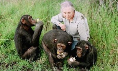 5 Days Olpejeta Adventure to Lake Nakuru and Masai Mara Safari