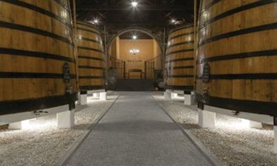 Graham's Guided Tour and Main Room Tasting Experience