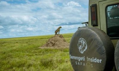 Kilimanjaro Airport Lake Manyara 4WD Adventure