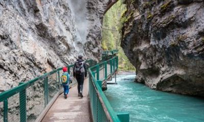 Banff and/or Yoho National Park Private Customizable 8 Hour Tour