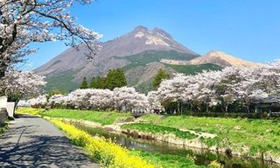 Yufuin Village Beppu Ropeway Dazaifu Day Tour