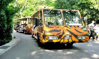 Singapore Zoo Direct Entry Ticket with Tram Rides