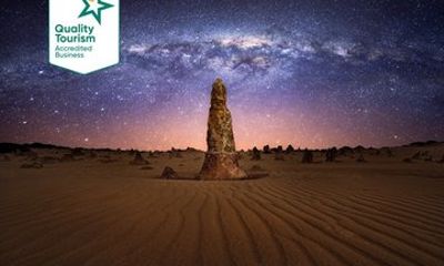 From Perth: Koalas & Pinnacles Desert Sunset Stargazing Day Tour