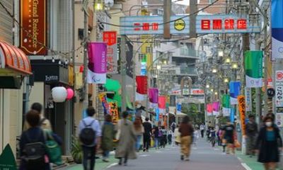 Tokyo Retro Downtown and Crafts Shore Excursion 4 Hours