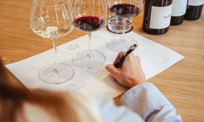 Matriarca Cellar Shop: Wine Tasting