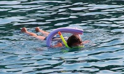 Key Largo Marine Eco Tour with Swimming and Sandbar