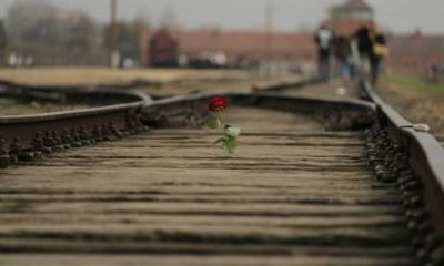 Auschwitz-Birkenau Guided Tour from Krakow with Hotel Pickup