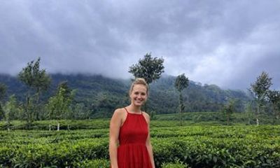 8-Day Sri Lanka Solo Tour with Hotels, Train Ride & Safari
