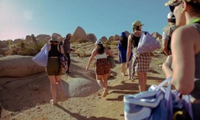 Joshua Tree Experience Morning Nature Walk Immersion