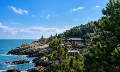 Private Full Day Busan Tour with Local Food and Culture