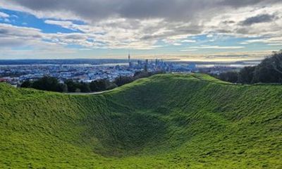 Auckland City Volcano Views and Wine Tasting